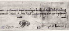 Breve von Papst Pius II. 1463 (Ausschnitt). Das ppstliche Breve war ein Kurzbrief der Ppste. Quelle: Wikimedia Commons